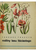 Rośliny lasy liściastego