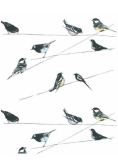Karnet 17x14cm z kopertą Garden Birds wallpaper