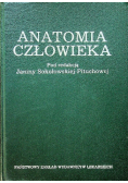 Anatomia Człowieka