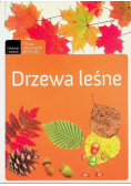 Drzewa leśne