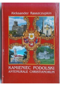 Kamieniec podolski