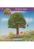 Rośliny leśne 11  Drzewa