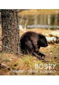 Bobry