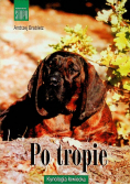 Po tropie
