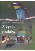 Z życia ptaków