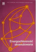 Energochłonność skumulowana