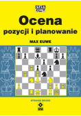 Ocena pozycji i planowanie
