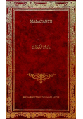Skóra