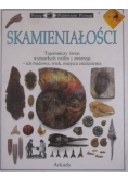 Skamieniałości Patrzę podziwiam poznaję