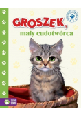 Groszek mały cudotwórca