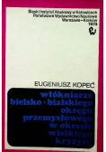 Włókniarze bielsko - bialskiego okręgu przemysłowego w okresie wielkiego kryzysu