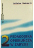 Pedagogika opiekuńcza w zarysie tom II