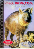 Hiena Brunatna Wielki strateg  DVD