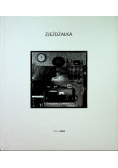 Sedymentacja