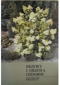 Krzewy i drzewa ozdobne