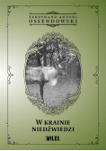 W krainie niedźwiedzi