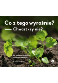 Co z tego wyrośnie? Chwast czy nie?