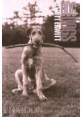 Phaidon Dog Dogs