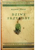 Dziwy przyrody
