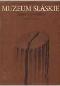 Muzeum Śląskie szkice z przeszłości