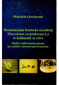 Rozmnażanie borówki wysokiej w kulturach in vitro