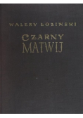 Czarny Matwij