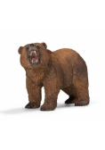 Niedźwiedź grizzly