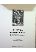 Puszcza Białowieska Dęby królewskie w rysunkach