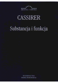 Substancja i funkcja