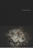 Poetologie pamięci
