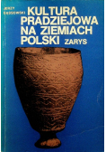 Kultura pradziejowa na ziemiach polskich zarys