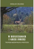W Bieszczadach i gdzie indziej