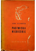 Pastwiska niebieskie