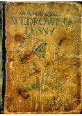 Wędrowiec leśny 1914 r.