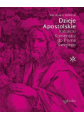 Dzieje Apostolskie Katolicki Komentarz do Pisma Świętego