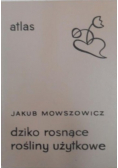 Dziko rosnące rośliny użytkowe