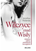 Wilczyce znad Wisły