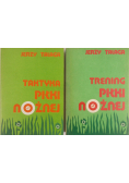 Trening piłki nożnej / Taktyka piłki nożnej