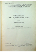 Wielkopolskie Roty Sądowe XIV - XV wieku