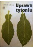 Uprawa tytoniu