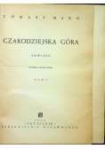 Czarodziejska góra I