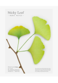 Kartki samoprzylepne - miłorząb zielony L