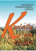 Kwiaty na stepie