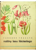 Rośliny lasy liściastego