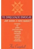 Te dręczące emocje