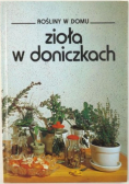 Zioła w doniczkach