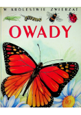 W królestwie zwierząt - Owady