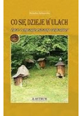 Co się dzieje w ulach