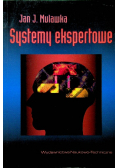 Systemy ekspertowe