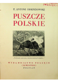 Puszcze polskie 1936 r.